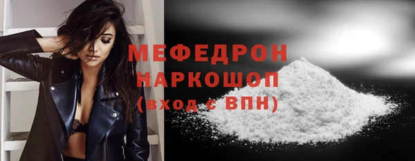 стафф Новодвинск