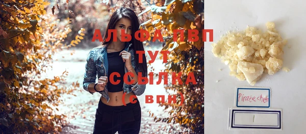 стафф Новодвинск