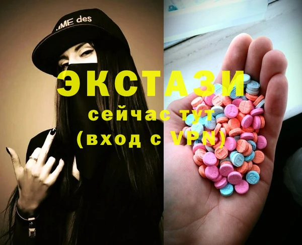 стафф Новодвинск