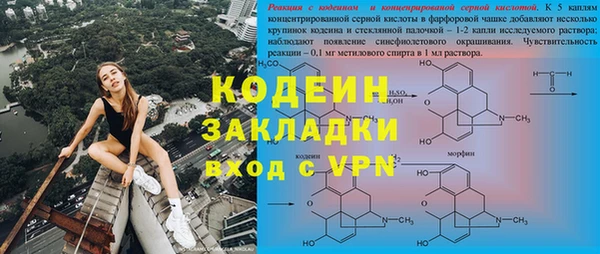стафф Новодвинск