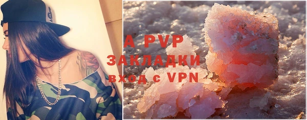 стафф Новодвинск
